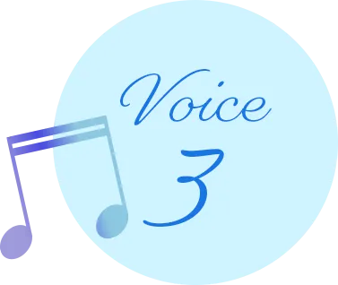 Voice 3